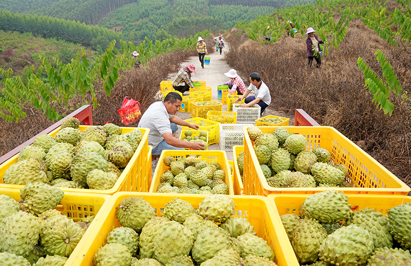 ??????? .. ???? ?????? ????? ??????? ?? ????? 