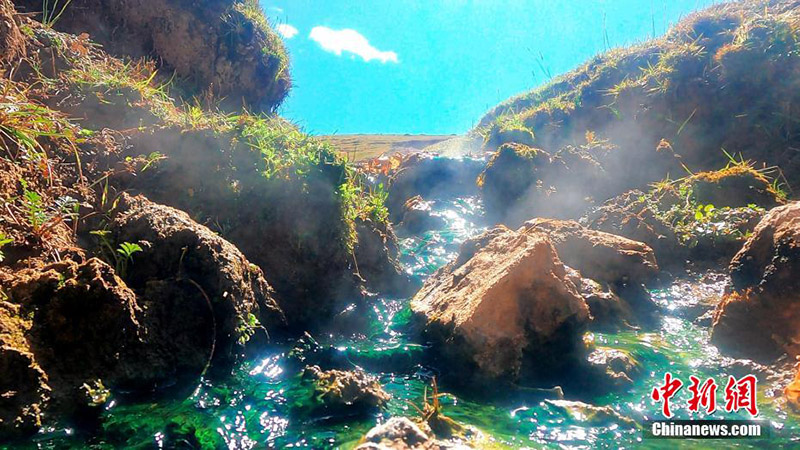 ???????? ??????? ??? ????? ???????? ?????? ????????: 