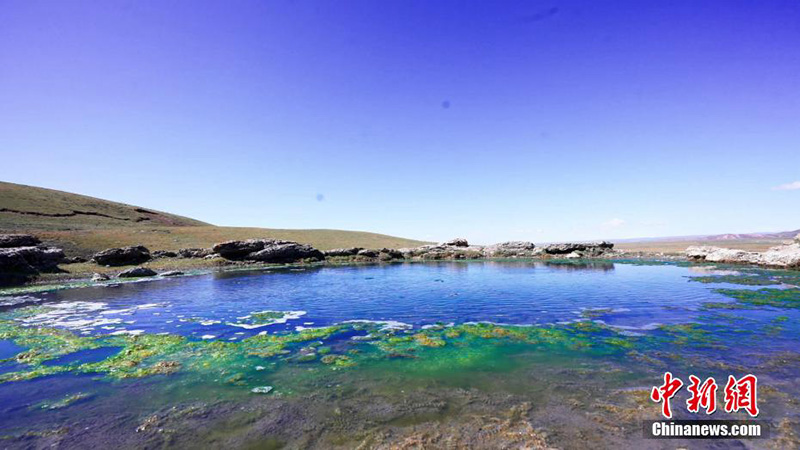 ???????? ??????? ??? ????? ???????? ?????? ????????: 