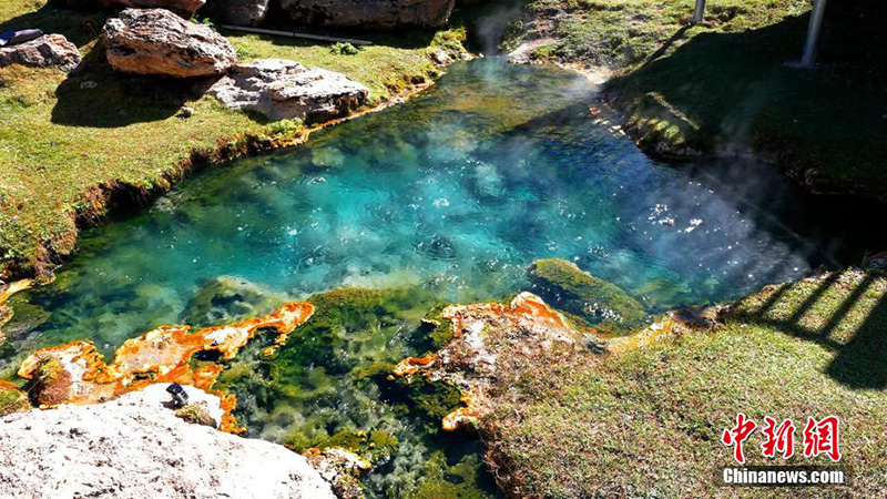 ???????? ??????? ??? ????? ???????? ?????? ????????: 