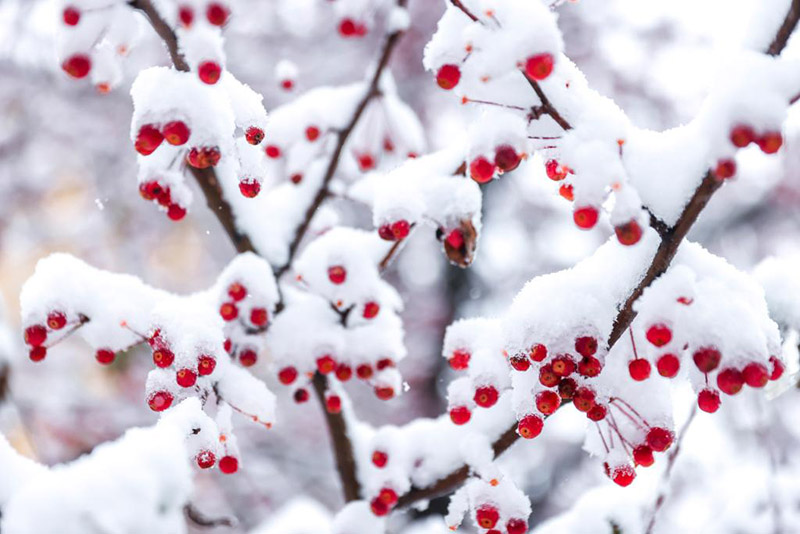 ??????: ???? ?????? ?? ???? ???? ?????