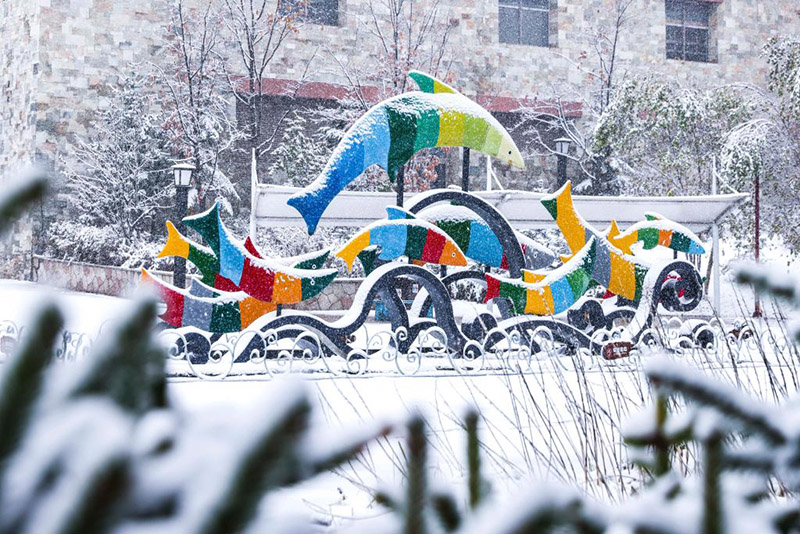 ??????: ???? ?????? ?? ???? ???? ?????