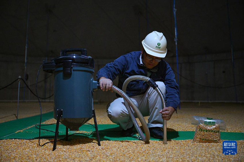 ??????: ???? ?????? ?????? ?????? ?? ??????