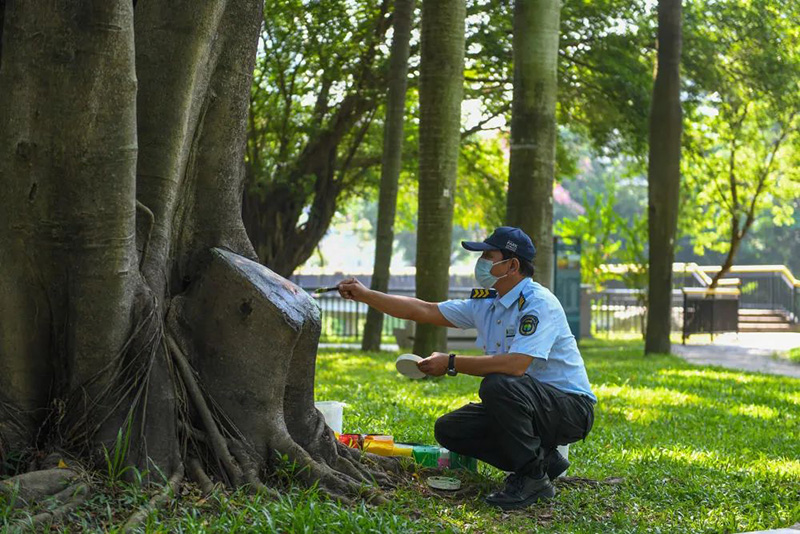 ???? ???? ????? ????? ??? 