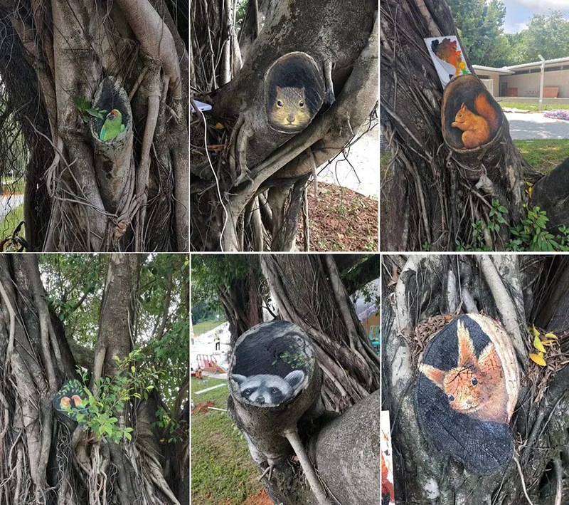 ???? ???? ????? ????? ??? 