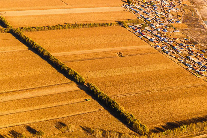 ??????: ???? ????? ?? ?????? ????? ???????