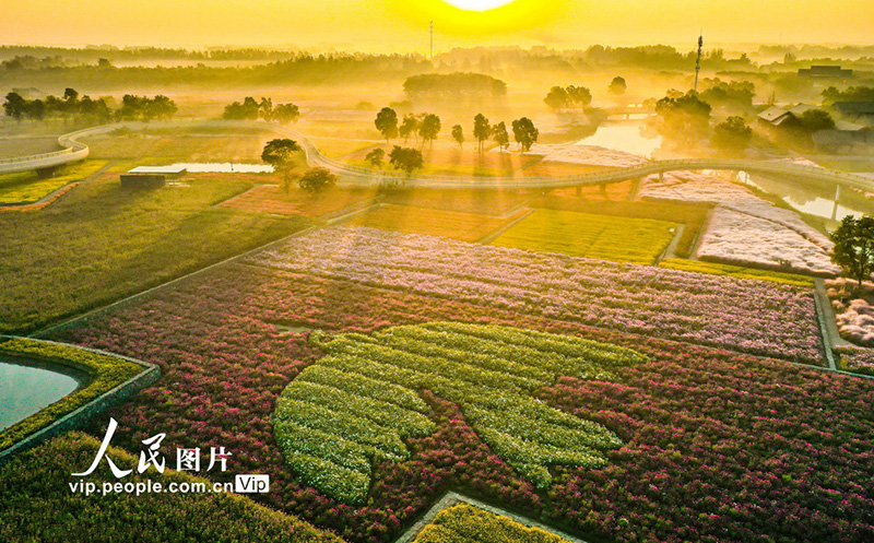 ????? ?????? ??????? ?????? ???? ??? ?????? ??????? ?? ???????