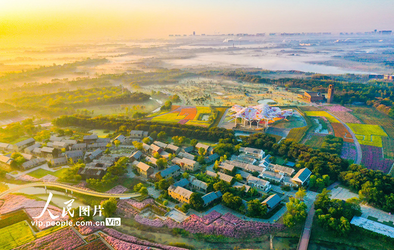 ????? ?????? ??????? ?????? ???? ??? ?????? ??????? ?? ???????