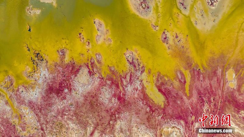 ??????? ??????? ???? ??????? ?????? ????????? ?????? ?????? 