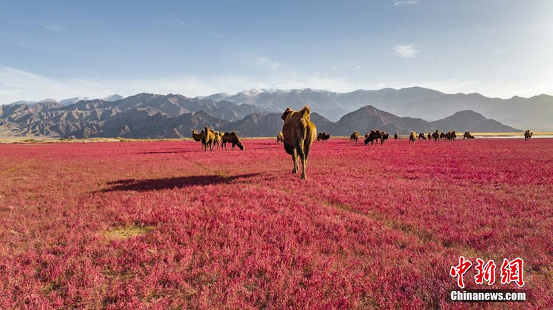 ??????? ??????? ???? ??????? ?????? ????????? ?????? ?????? 