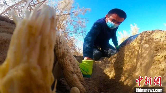 ????????: ???? ???? ?? 90 ??? ?? ?? 