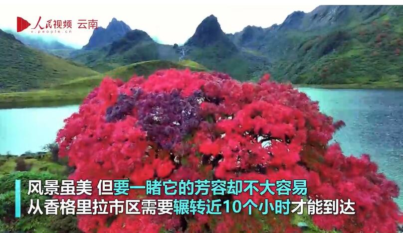 ????? ??????? ???????!  ???? ?????? 