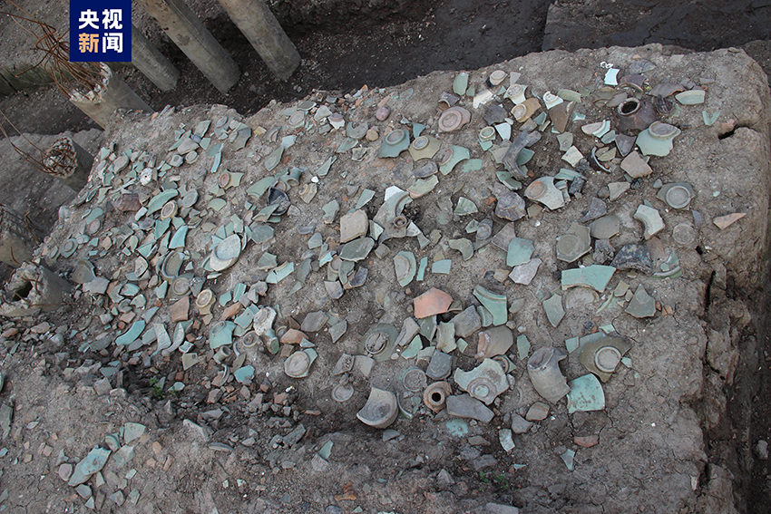 ?????? ????? ???? ???? ??? ???? ???? ?????? 