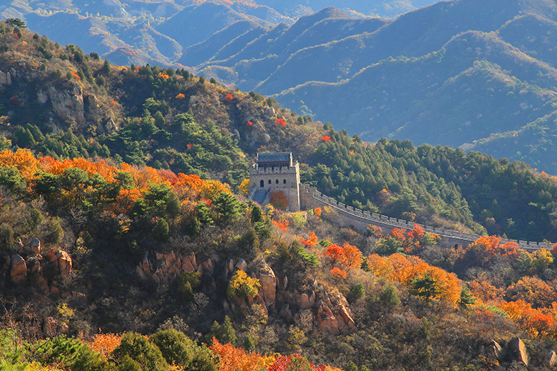 ????: ??? ????? ?????? ????? ????? ????? ??????