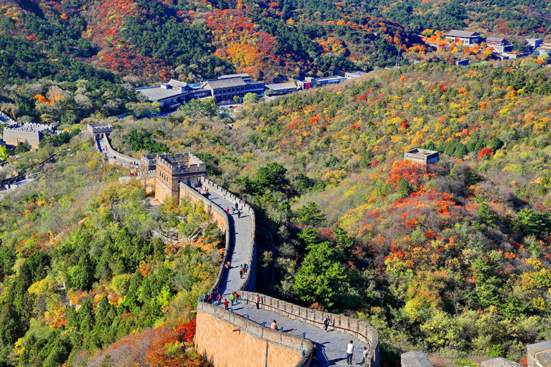 ????: ??? ????? ?????? ????? ????? ????? ??????