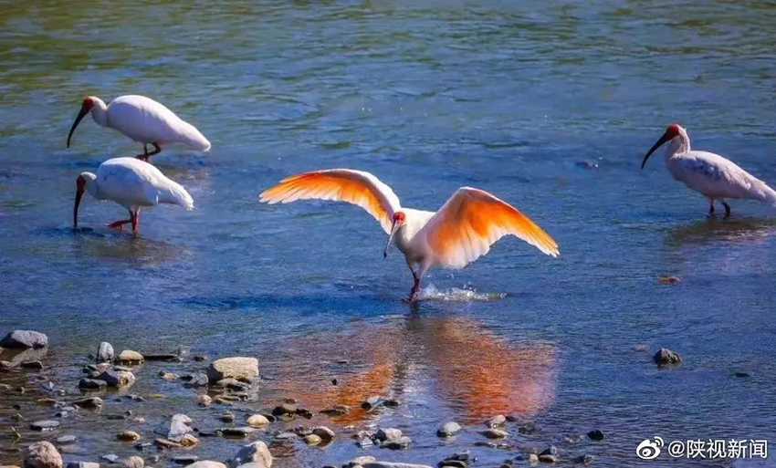 ?? ?????? ???? ???????? ???? ??? ???? ?????? ?? ????? ???? ???? ????