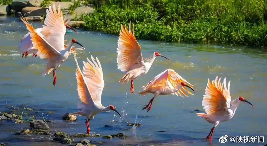 ?? ?????? ???? ???????? ???? ??? ???? ?????? ?? ????? ???? ???? ????