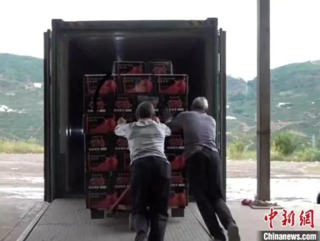 ?????? ????? ????? ????? ???? ??????