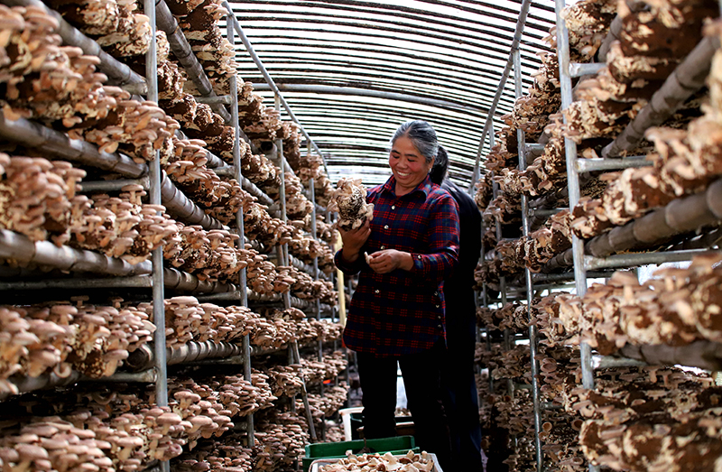 ????? ????? ?? ?????? ??????? ???? ?????? ???????