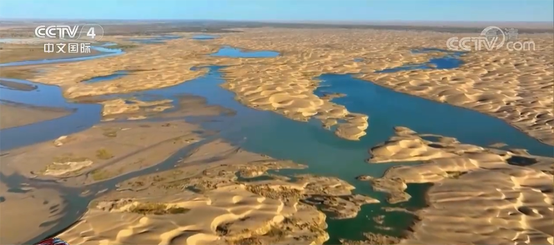 ?????? ???? ????? ?? ????? ??????????