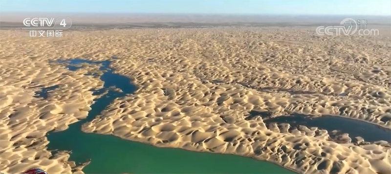 ?????? ???? ????? ?? ????? ??????????