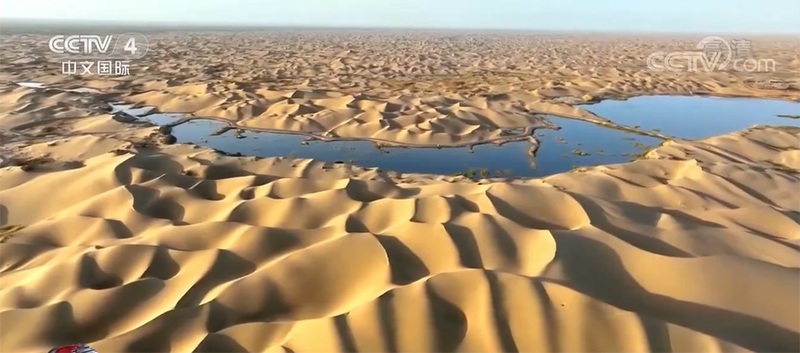 ?????? ???? ????? ?? ????? ??????????