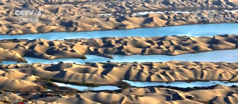 ?????? ???? ????? ?? ????? ??????????