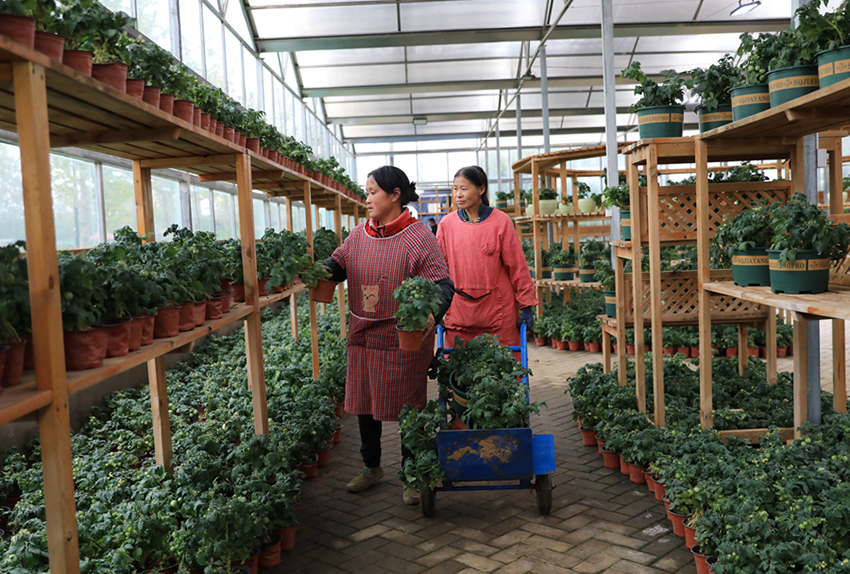 ?????? ??????? ???? ?????