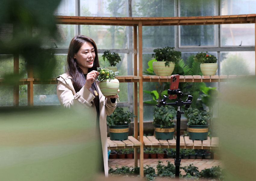 ?????? ??????? ???? ?????