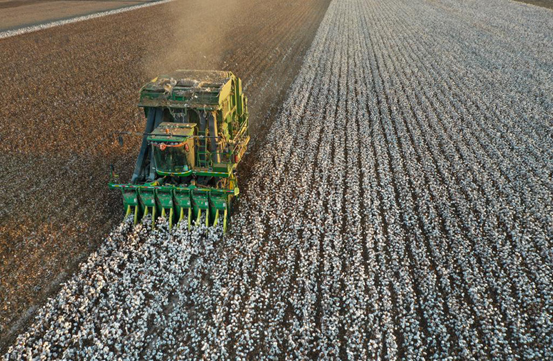 ???? ???? ????? ?? ????? ???????? ???????