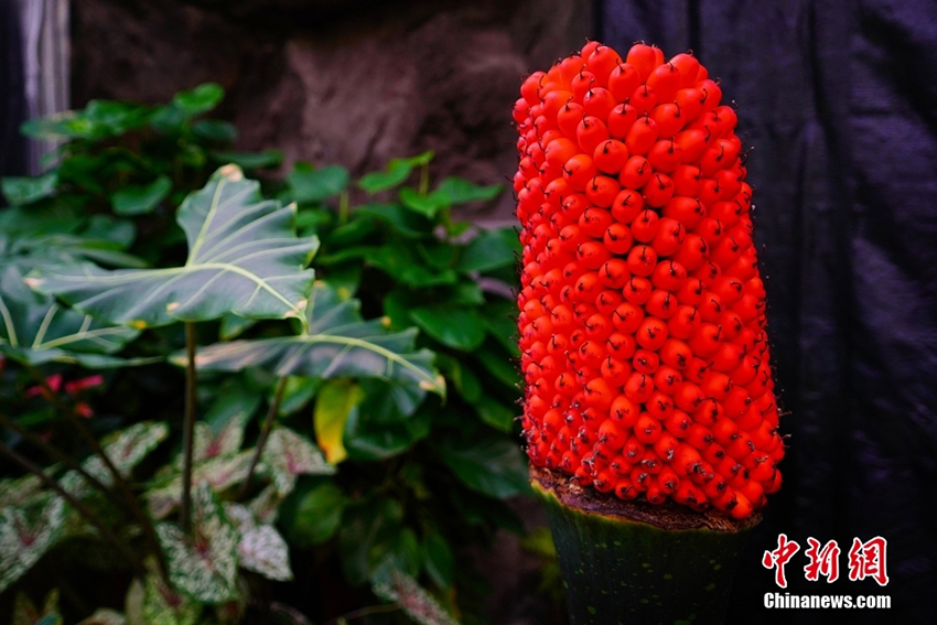 ???? ??? ?? ????? .. ???? ????? ??????? ???? ?? ??????? ???????? ??????? ?????