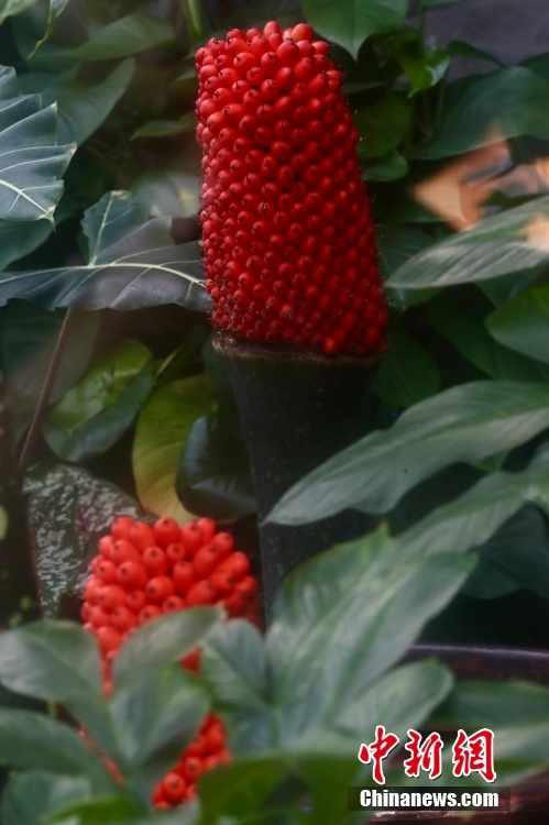 ???? ??? ?? ????? .. ???? ????? ??????? ???? ?? ??????? ???????? ??????? ?????