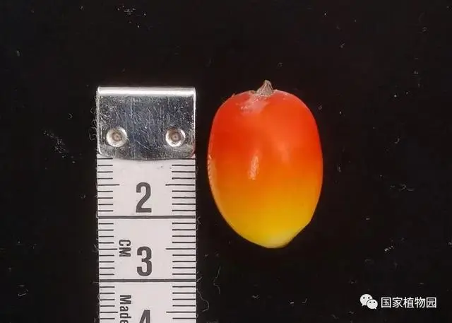 ???? ??? ?? ????? .. ???? ????? ??????? ???? ?? ??????? ???????? ??????? ?????