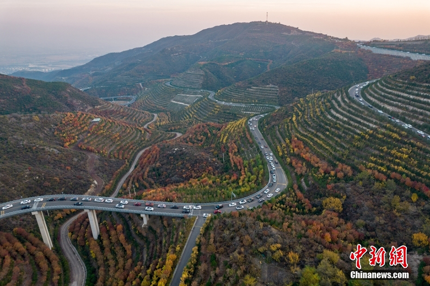 ????? ???? ?????? .. ???? ???? ?????? ?????? ??? ???????? ??? 