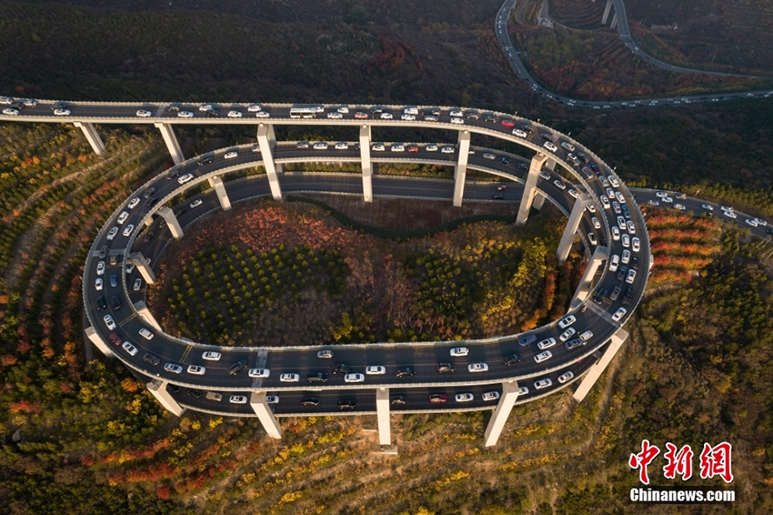 ????? ???? ?????? .. ???? ???? ?????? ?????? ??? ???????? ??? 