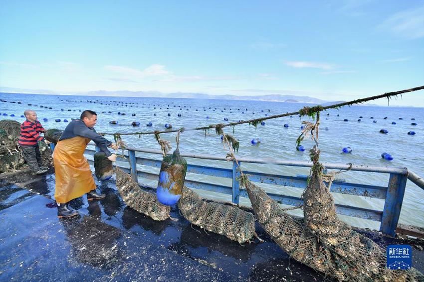 ?????? ???? ??? ??????? ?? ??????