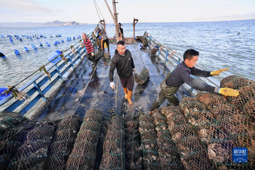 ?????? ???? ??? ??????? ?? ??????