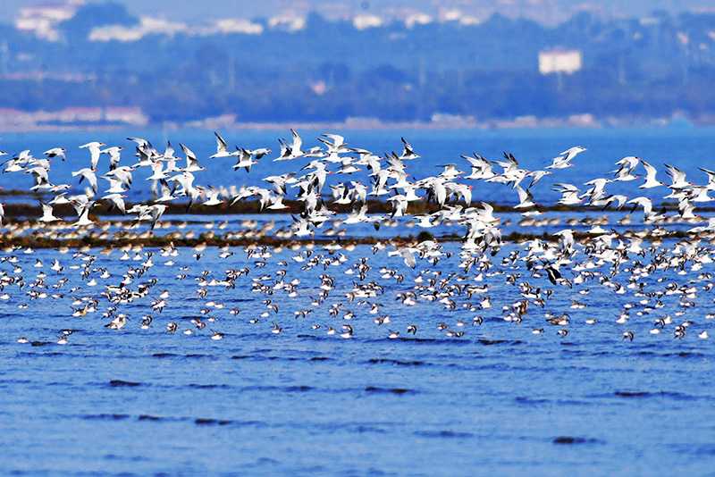 ??? ???? ?? ?????? ????? ??? ???? ???????? ????????? ???? ??????