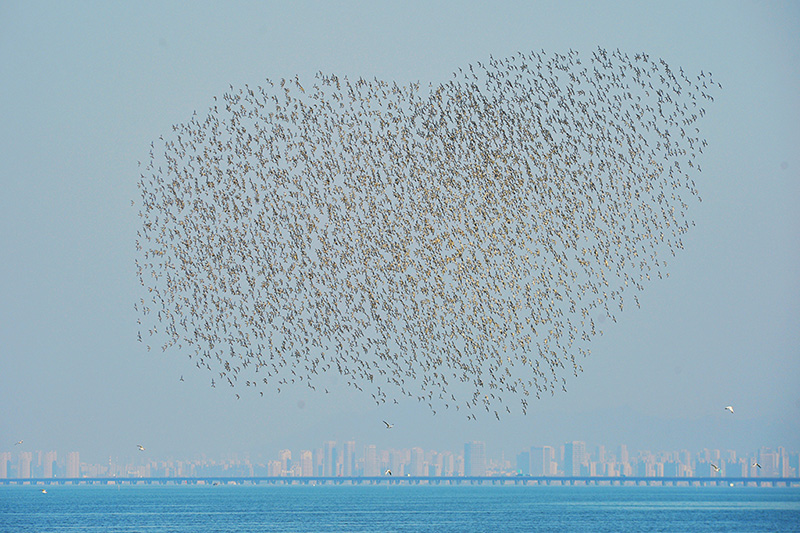 ??? ???? ?? ?????? ????? ??? ???? ???????? ????????? ???? ??????