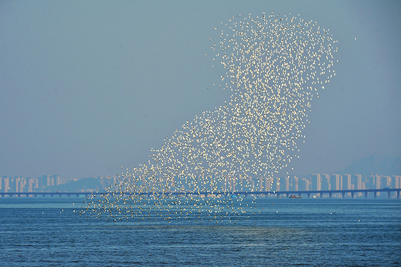 ??? ???? ?? ?????? ????? ??? ???? ???????? ????????? ???? ??????