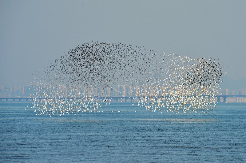 ??? ???? ?? ?????? ????? ??? ???? ???????? ????????? ???? ??????