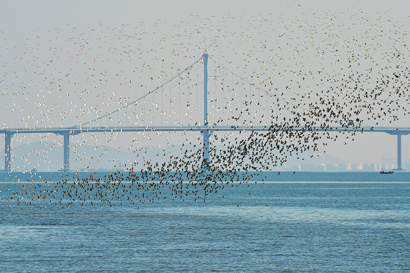 ??? ???? ?? ?????? ????? ??? ???? ???????? ????????? ???? ??????