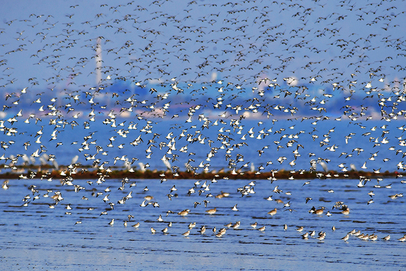 ??? ???? ?? ?????? ????? ??? ???? ???????? ????????? ???? ??????