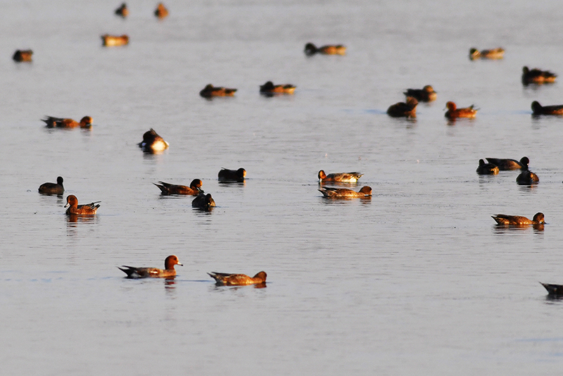 ??? ???? ?? ?????? ????? ??? ???? ???????? ????????? ???? ??????