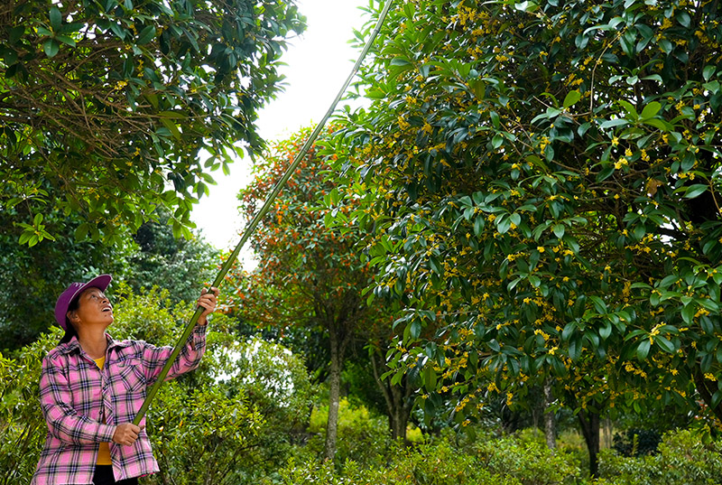 ??????? ???????: ???? ??????????? ??????? ??? ????? ??? ?????????