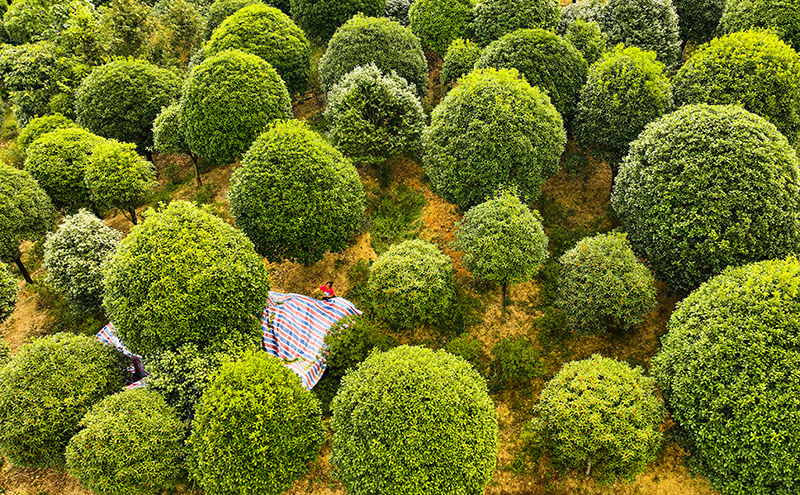 ??????? ???????: ???? ??????????? ??????? ??? ????? ??? ?????????