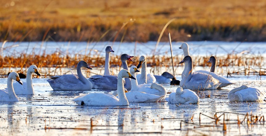 ??????? ?????? ?? ??????????? ?????? ?????? ????????