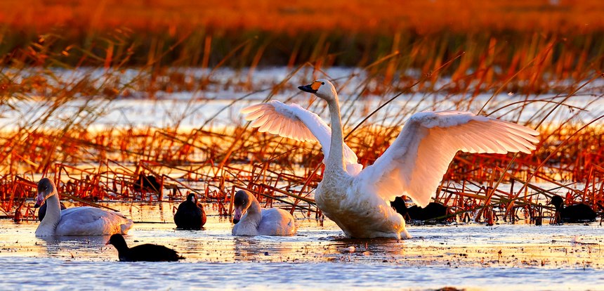 ??????? ?????? ?? ??????????? ?????? ?????? ????????