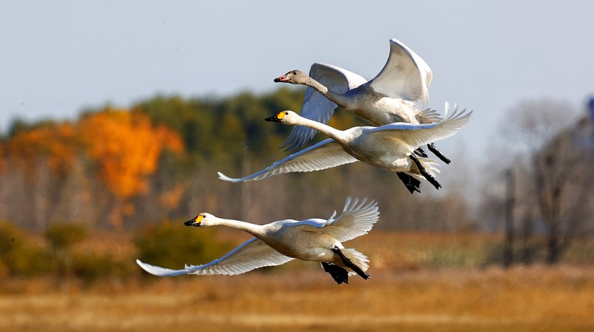 ??????? ?????? ?? ??????????? ?????? ?????? ????????