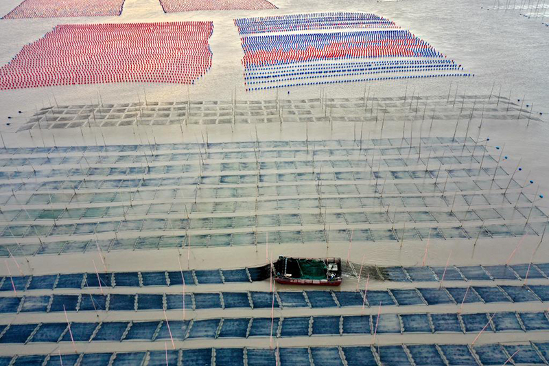 ??????: ???? ?????? ?? ????? ???????? ??????? ??????? ?? ?????? ???????